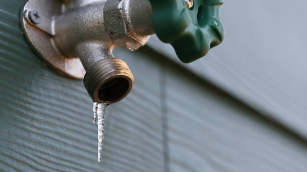 Best Clogged Drain Plumber  in Hickman, NE